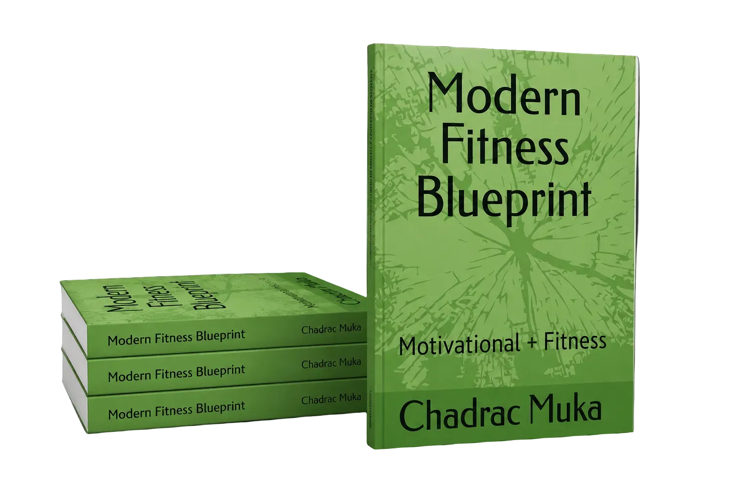 Modern Fitness Blueprint